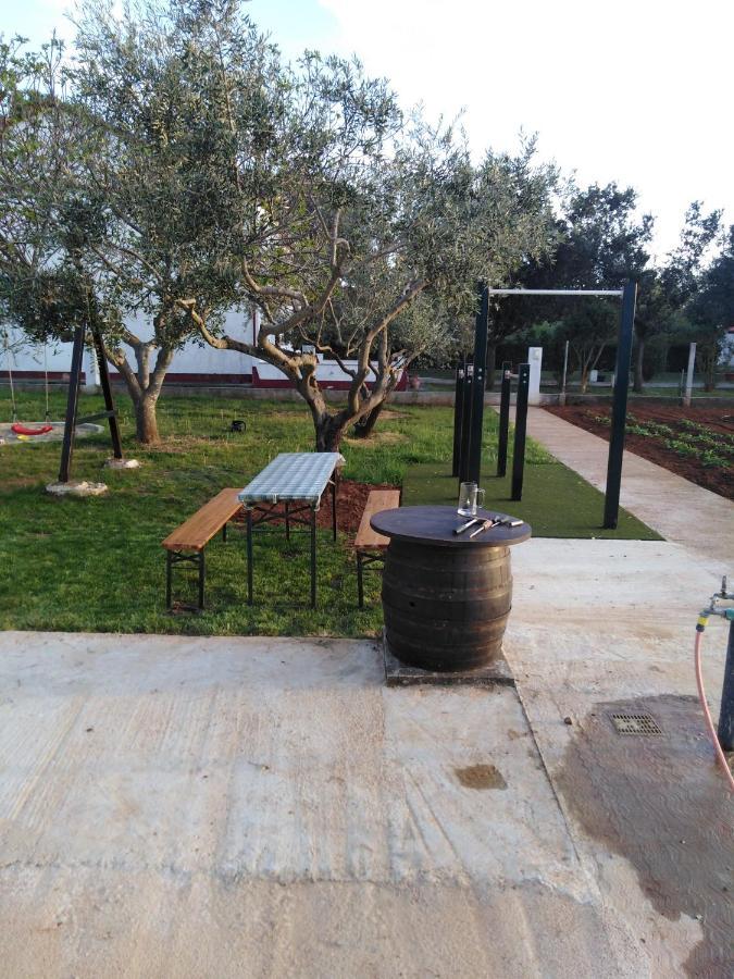 Zaton Draga Apartment