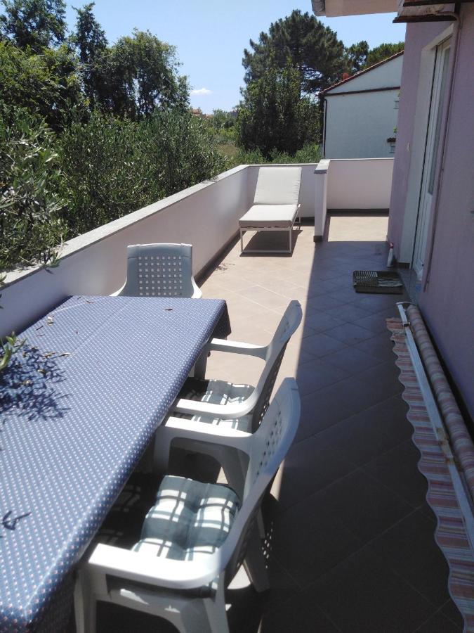 Zaton Draga Apartment