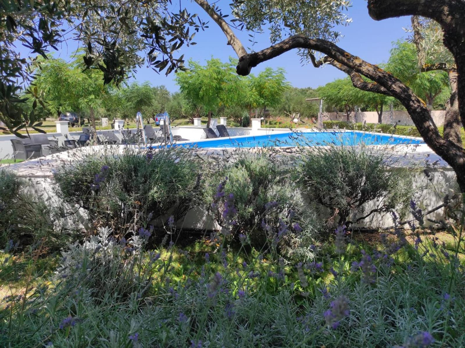 Apartment Zaton Draga Zaton (Zadar)