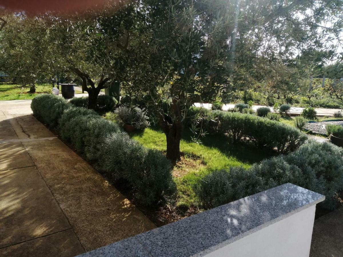 Draga Appartamento Zaton (Zadar)