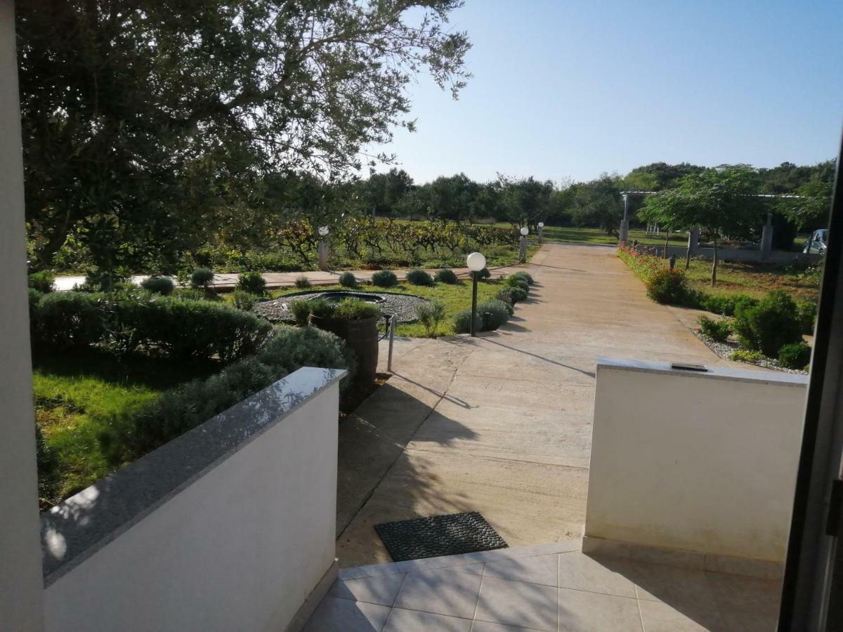 Zaton Draga Zaton (Zadar)